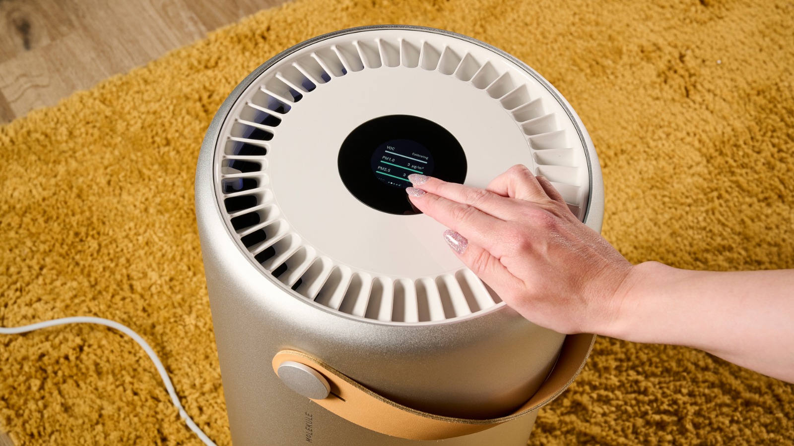 air purifier (2)